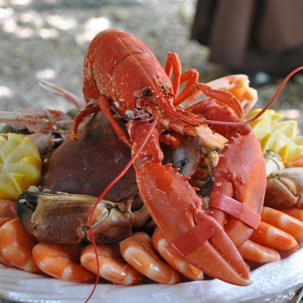 PESCADO Y MARISCOS